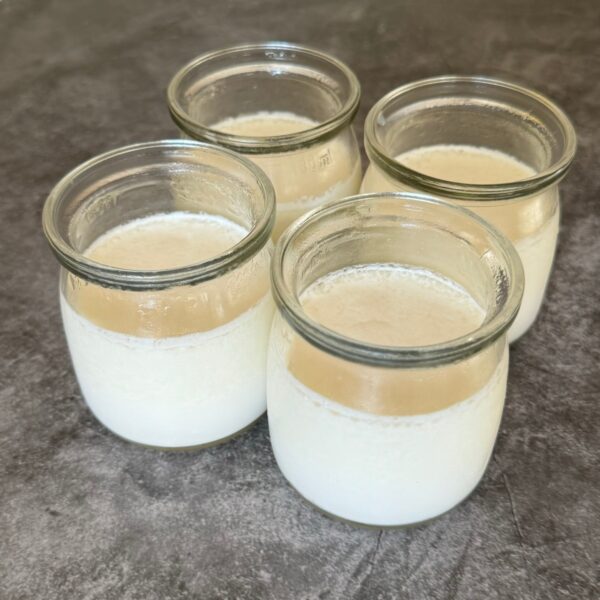 Com fer iogurt casolà amb iogurtera, recepta